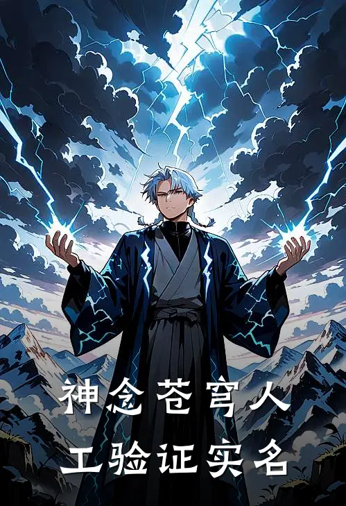 神念苍穹人工验证实名