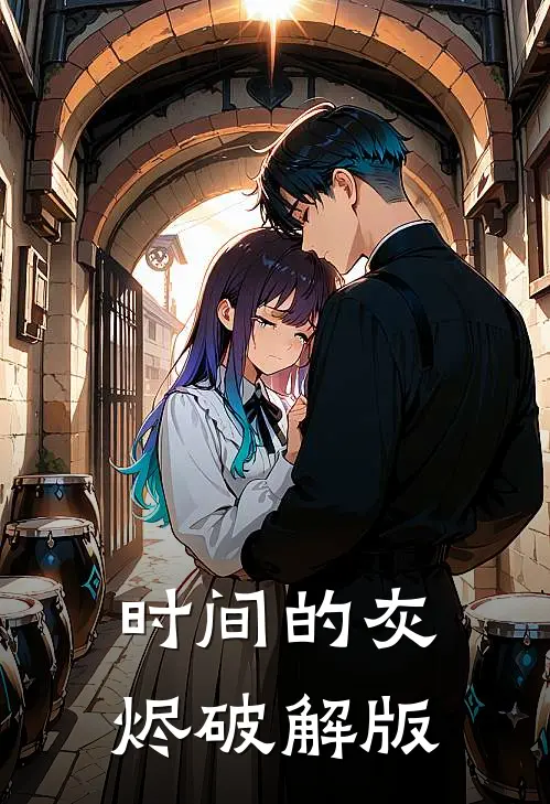 时间的灰烬破解版